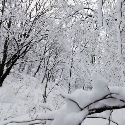 Can You Use a Swim Spa in the Winter?